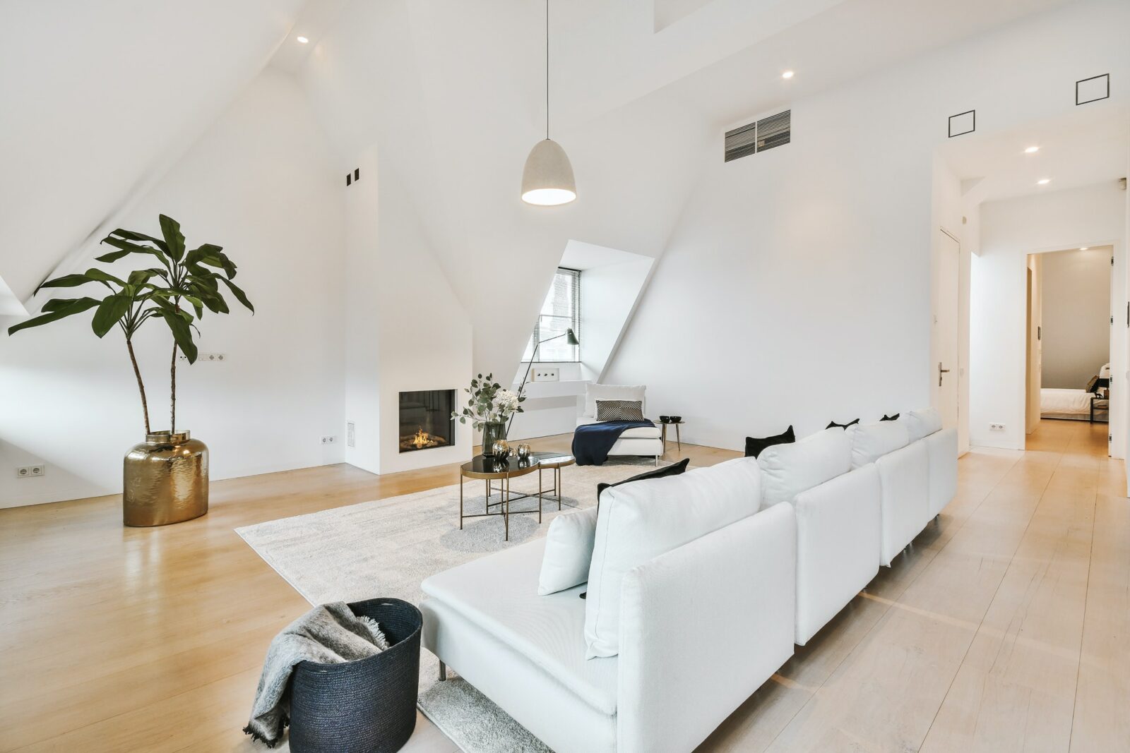 Spacious living room in attic apartment
