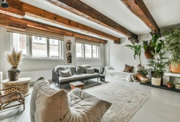 Elegant living room