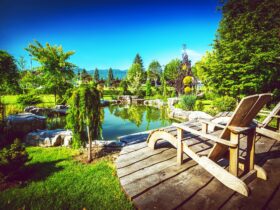 Garden Backyard Pond