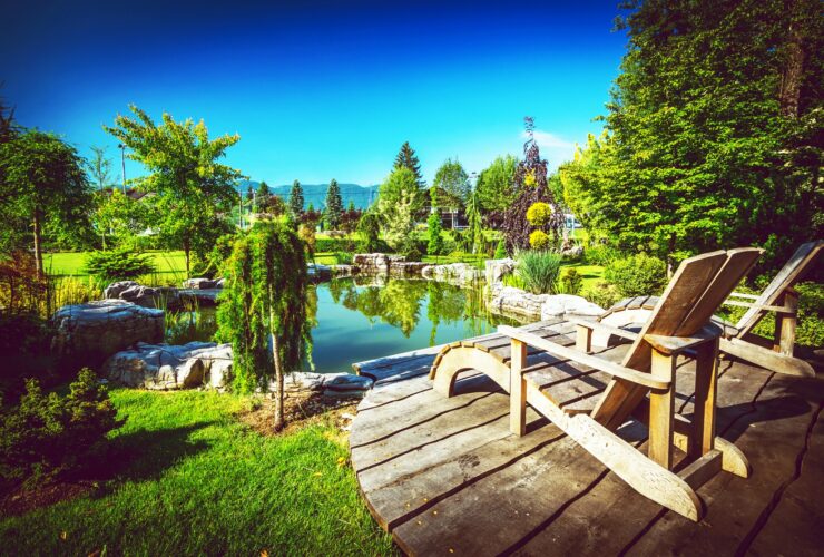 Garden Backyard Pond