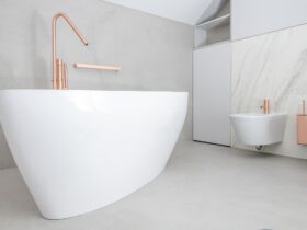 Modern Elegant Bathtub and Bathroom Interior