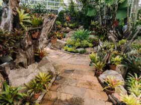 Pathways with green garden, Landscaping in the garden