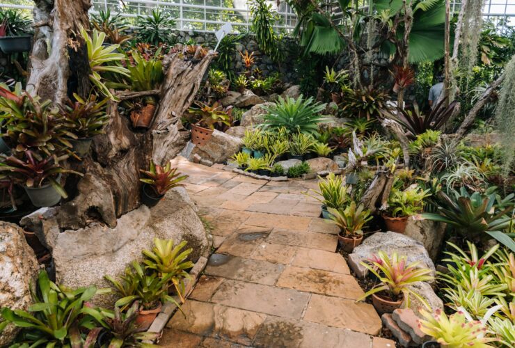 Pathways with green garden, Landscaping in the garden