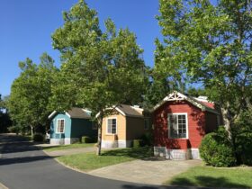 Primary houses