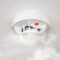 smoke detector or household fire alarm at home