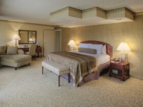 Luxury master bedroom