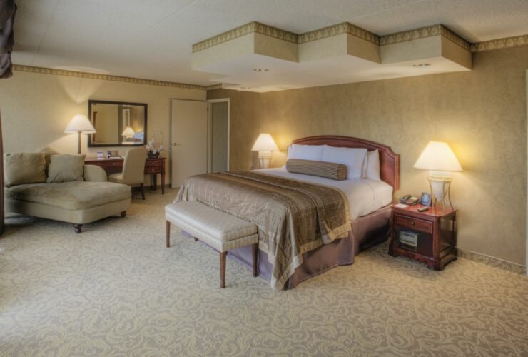 Luxury master bedroom