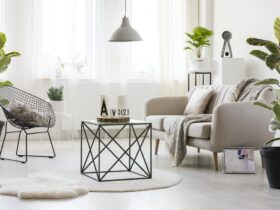 Modern living room with ficus