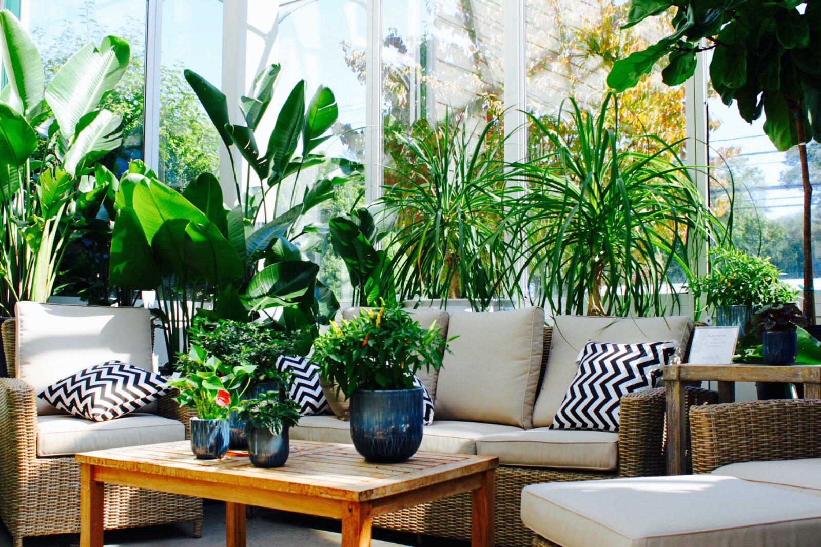 Indore / outdoor living space