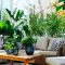 Indore / outdoor living space