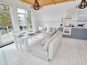 Scandinavian Open Kitchen Interior
