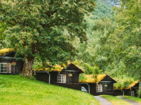 Traditional Norwegian Old Wooden Houses With Growing Grass On Roof. Cabins In Norway