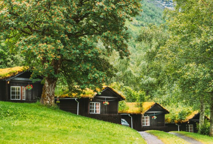 Traditional Norwegian Old Wooden Houses With Growing Grass On Roof. Cabins In Norway
