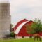 A horse is eating grass in front of a red barn and cement silos.