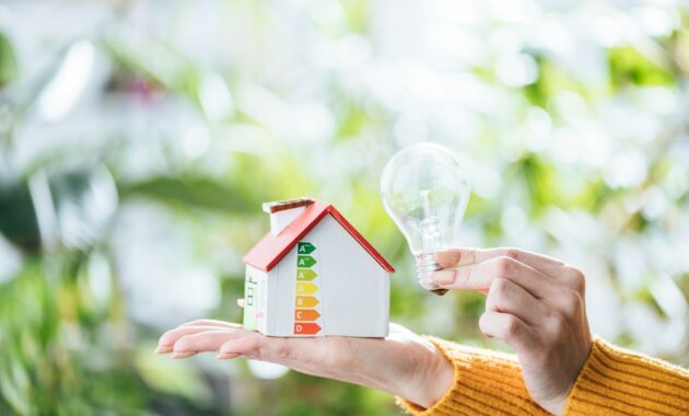 cropped view of woman holding led lamp and carton house, energy efficiency at home concept