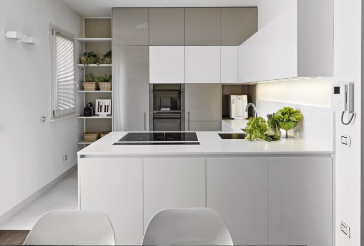 Interiors of the Modern Kitchen