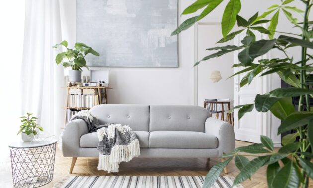 Modern scandianvian living room interior with design sofa.