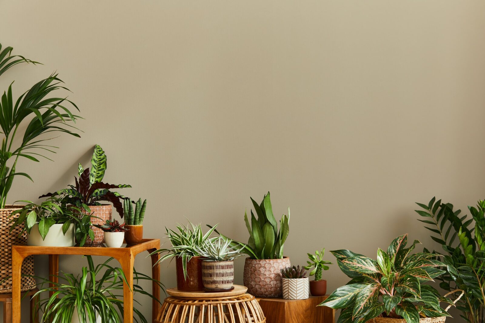 Stylish composition of home garden interior