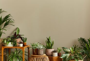 Stylish composition of home garden interior