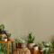 Stylish composition of home garden interior