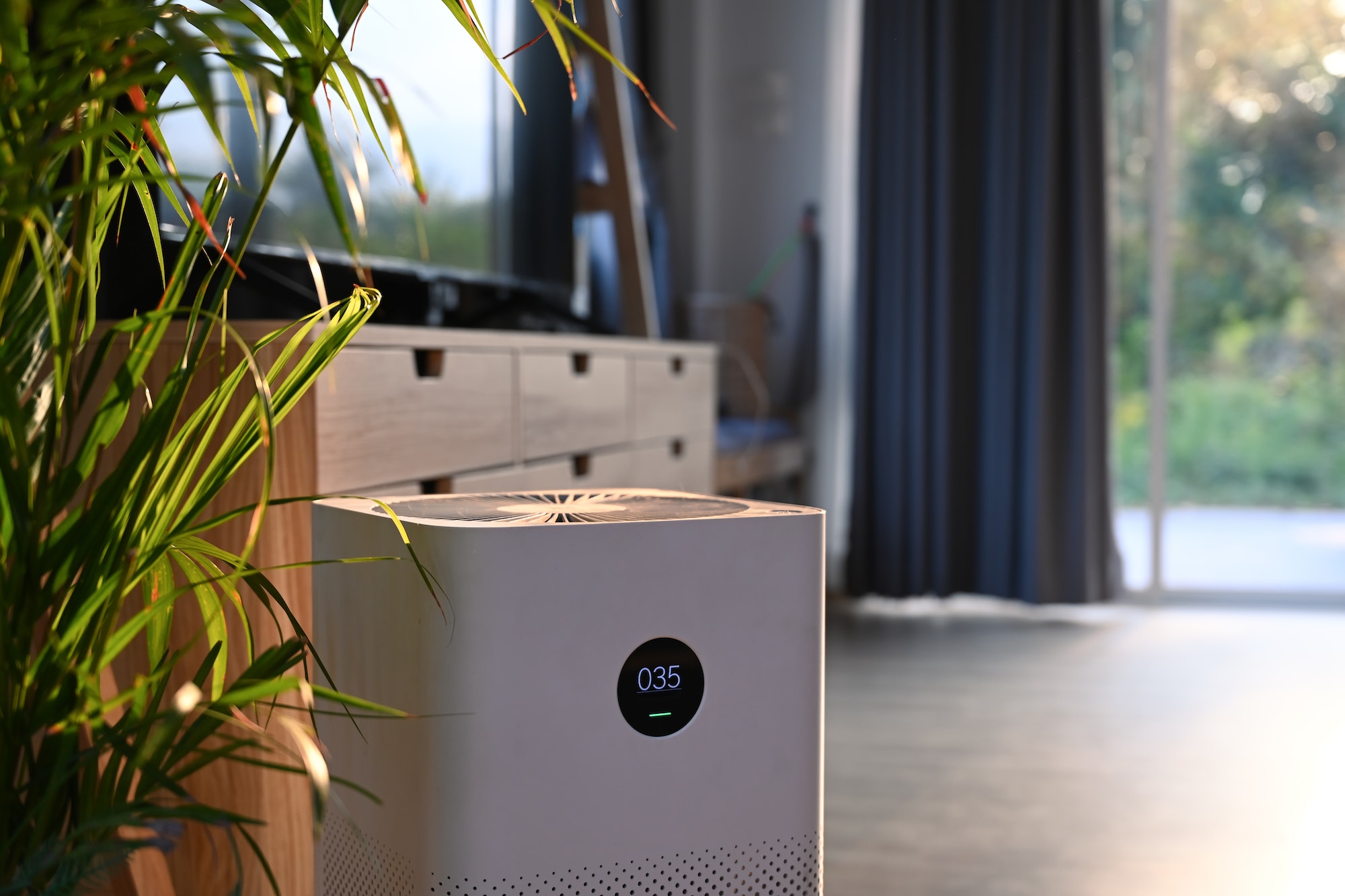 Air purifier with digital monitor screen and house plant in living room for fresh air.