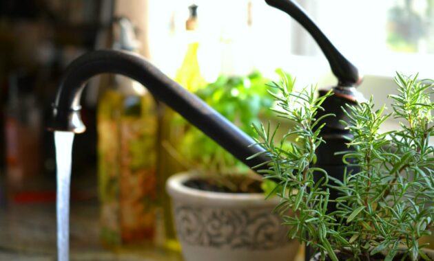 Running water in the kitchen sink with herb garden on window sink ledge