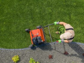 Backyard Garden Lawn Aeration Job Aerial View