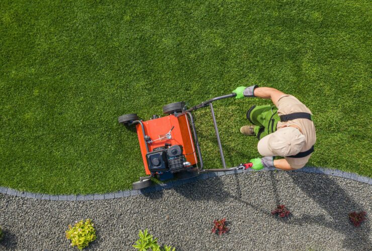 Backyard Garden Lawn Aeration Job Aerial View
