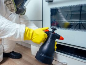 pest control worker standing with sprayer in kitchen