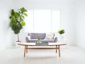 Bright and light living room