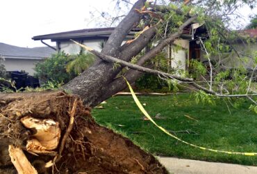 Natural disasters effect on property. A tree falls on a family home in a suburban neighborhood