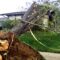 Natural disasters effect on property. A tree falls on a family home in a suburban neighborhood