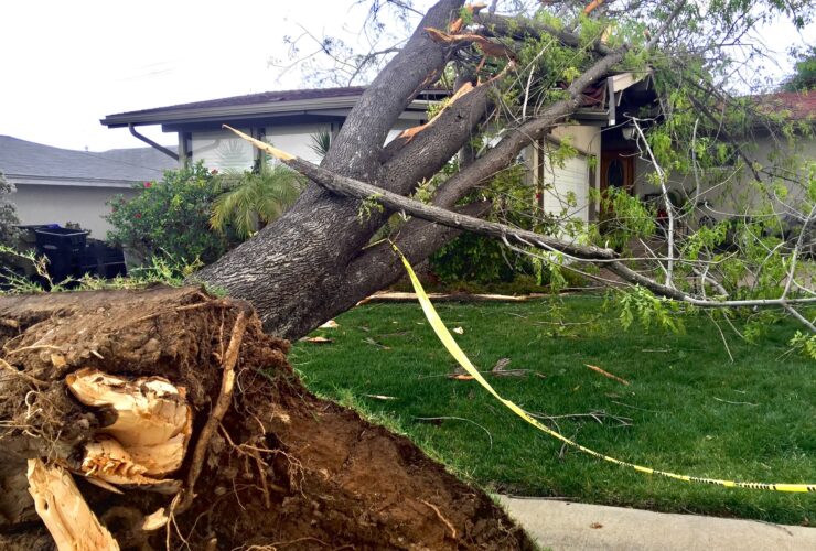 Natural disasters effect on property. A tree falls on a family home in a suburban neighborhood