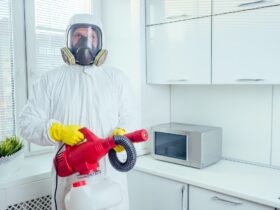 pest control worker standing with sprayer in kitchen