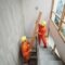 Workers Carrying Board up Narrow Stairs