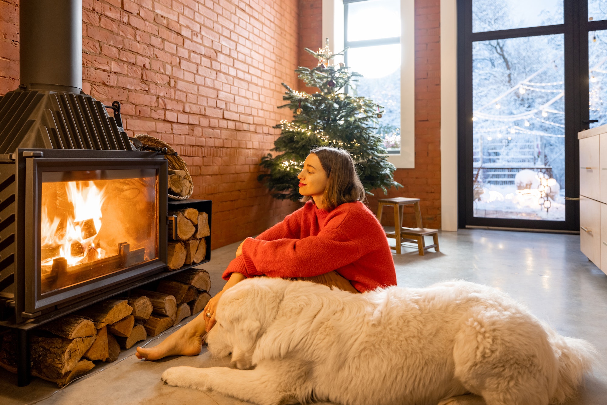 Woman with dog at home on a winter holidays