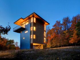 Glen Lake Tower 22