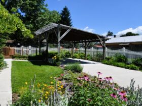 A landscaped carport patio in a typical middle class neighborhood