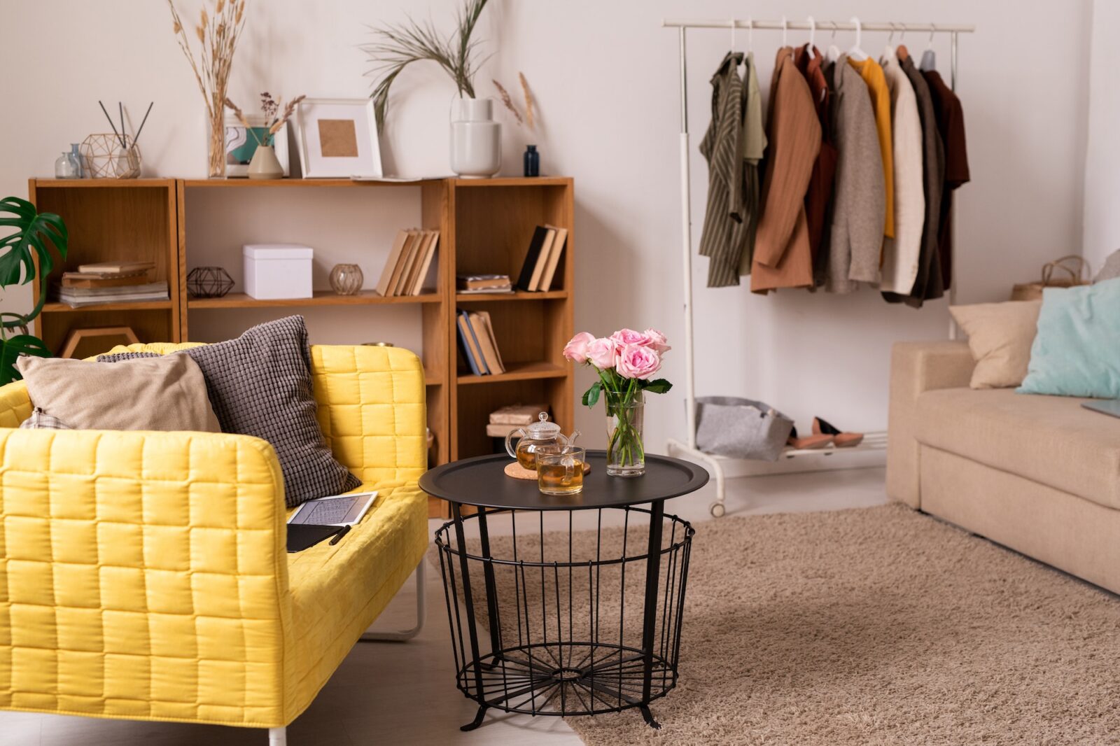 Domestic room interior with couches, shelves, small table and rack with clothes