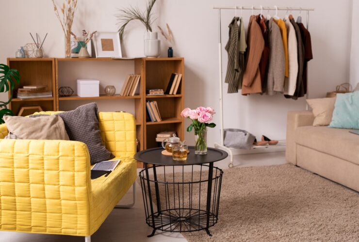 Domestic room interior with couches, shelves, small table and rack with clothes