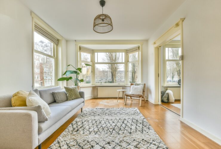 Cozy living room