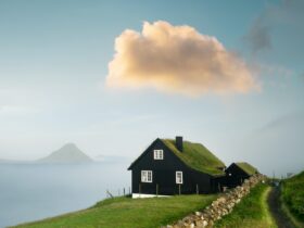 Foggy morning view of a house with typical grass roof