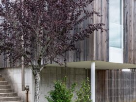 House with wood cladding