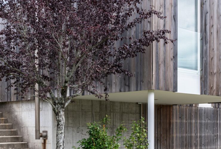 House with wood cladding