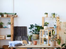 Houseplants Background