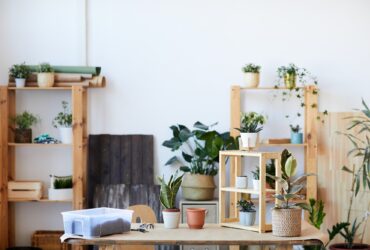 Houseplants Background