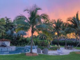 Landscape of a backyard with pool and cafe lights during sunset