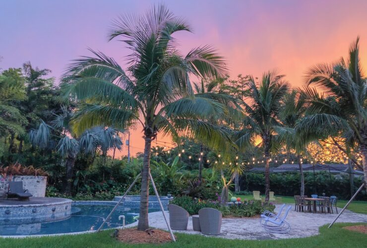 Landscape of a backyard with pool and cafe lights during sunset