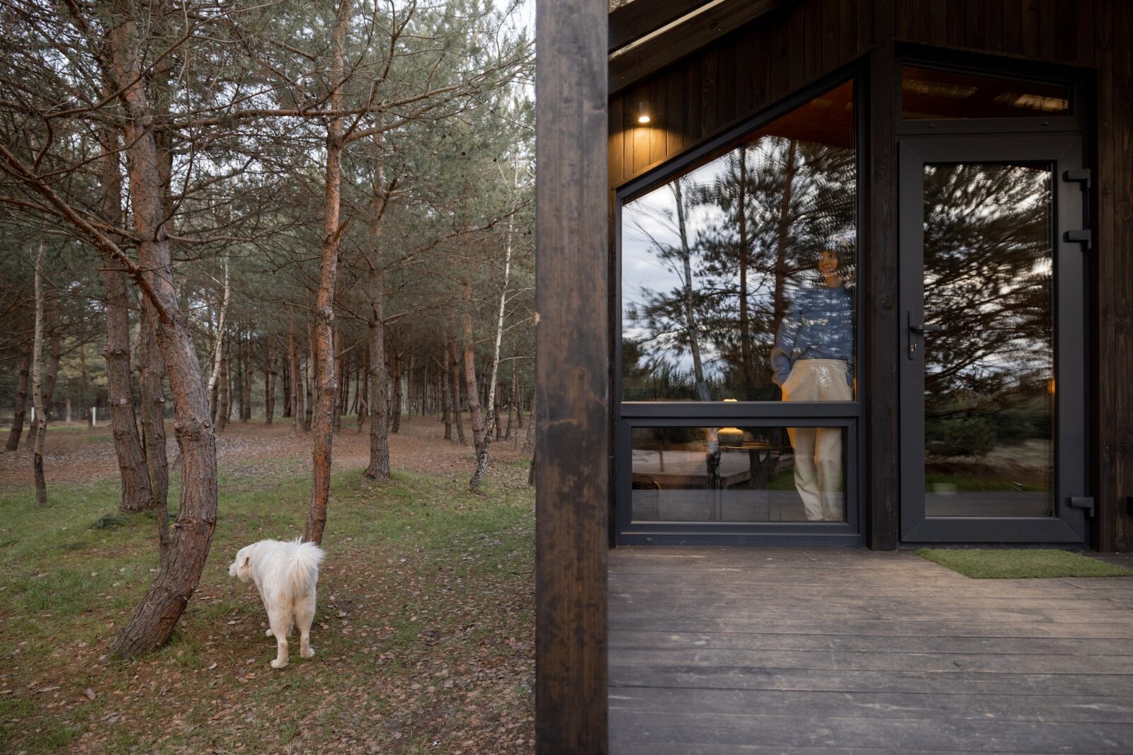 Woman looks out the window at house in nature