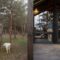 Woman looks out the window at house in nature